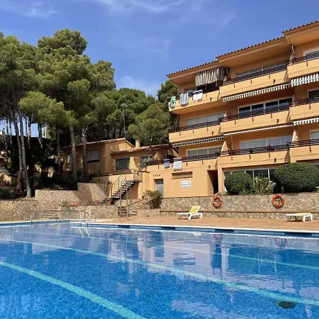 Apartament Budget *